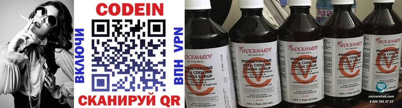 Купить закладки  Нестеров  Кодеиновый сироп Lean напиток Lean (лин) 