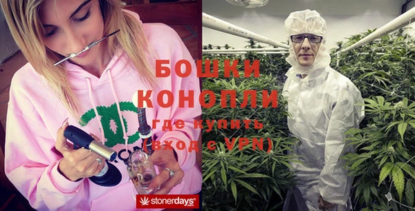 прущие грибы Балахна