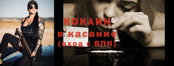 прущие грибы Балахна