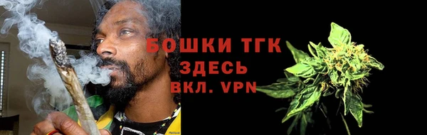 прущие грибы Балахна
