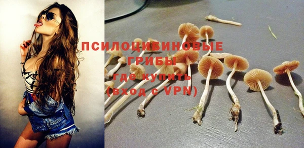 кристаллы Белокуриха