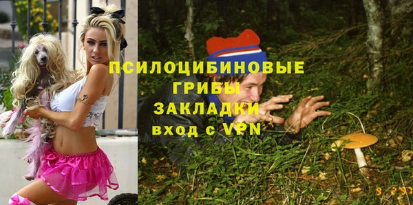прущие грибы Балахна