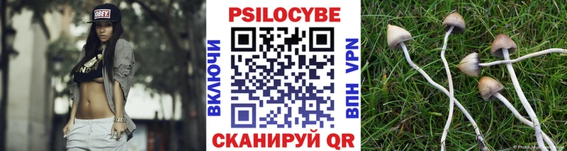 Псилоцибиновые грибы ЛСД  Купить  Нестеров 